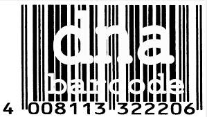 DNA Barcode
